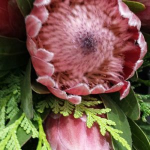 Meet your Posher, Charity